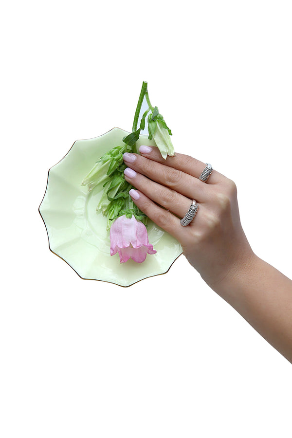 Life Cycle Silver Ring