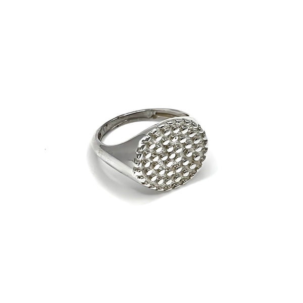 Stellar Orbit Silver Ring