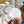 The Art of Porcelain Painting: Adult Workshop