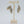 Asymmetrical Leaves Brass Earrings