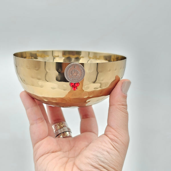 Classic Steel Bowl with Pahlavi Coin Design