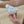 Pottery Painting ( Paint your own unpainted ceramic pieces)