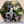 The Qajar Rose Prince Wall Mirror