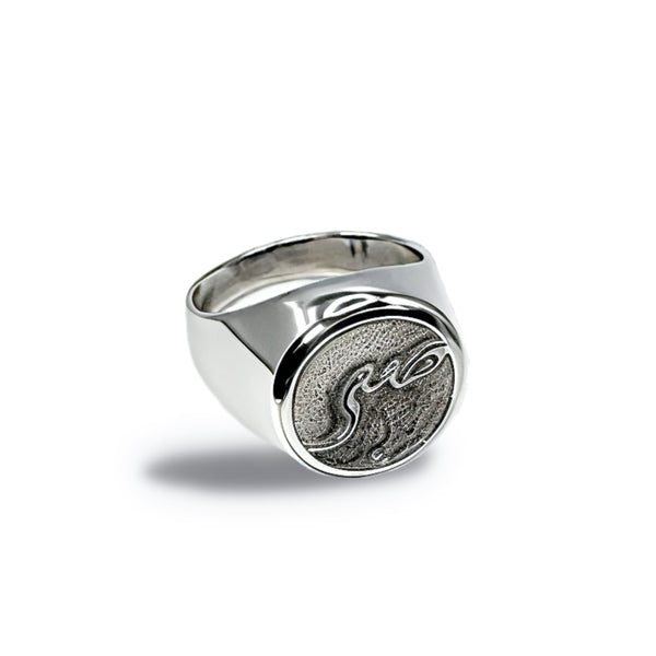 Farsi Words Silver Rings