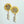 Ava Round Pearl Earrings