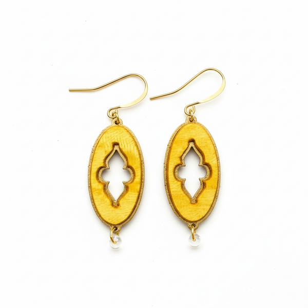 Shaazdeh Velvet Earrings