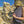 Sormeh Vest
