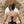 Toranj Termeh Crop Top
