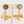 Golden Butterfly Earring With Pahlavi Coin