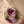 Shahbanoo Farah Diba Round Wall Mirror