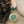 Rodin Round Dangle Earrings