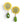 Targol Round Dangle Earrings