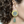 Targol Round Dangle Earrings