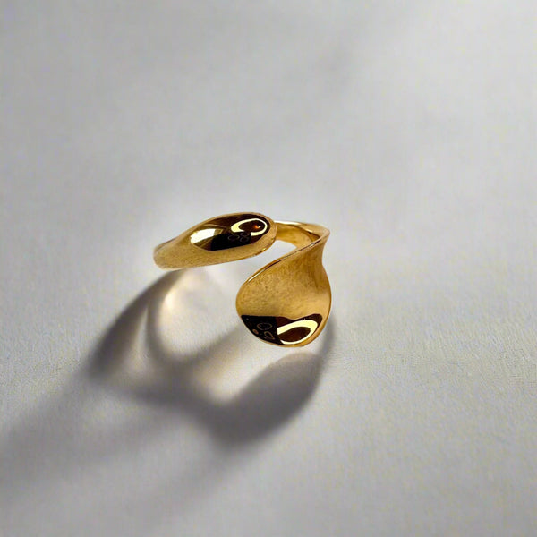 Mowj Silver Ring