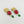 Golden Shir o Khorshid Brass Earrings