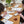 The Art of Porcelain Painting: Adult Workshop