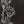 Small Garden Black Lippan Mirror Wall Art