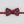 Red Nader Bowtie with Red Coral