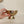 Classic Footed Bowl with Pahlavi Coin