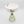 Golesorkhi Shallow Bowl With Olive Green Glass Stand