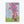 Where We Meet Greeting Card