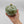 Decorative Olive Green Ceramic Pomegranate